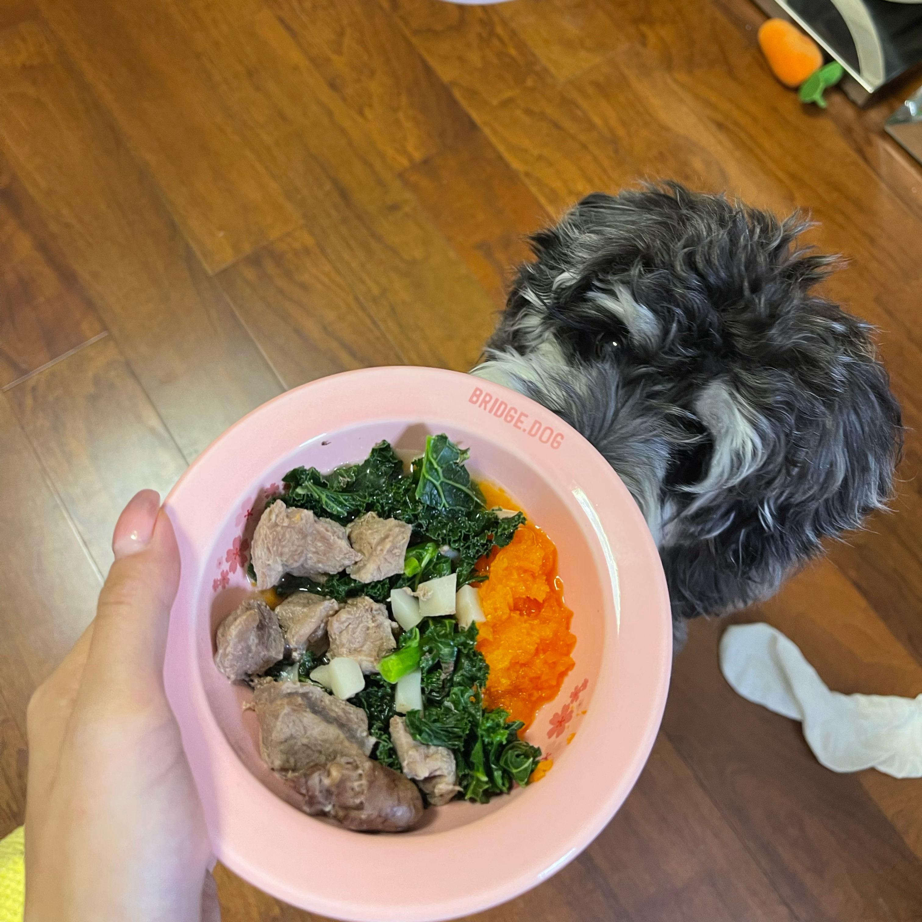 娱乐生活 第52页
