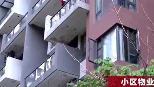 港澳新闻 第36页
