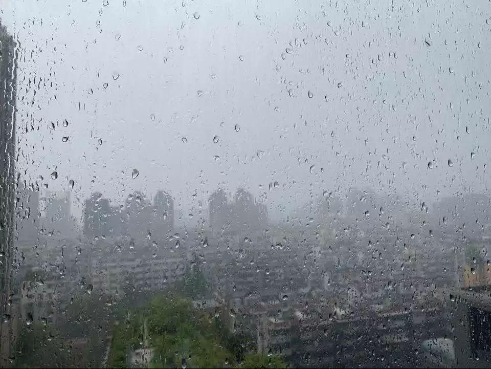 地方新闻 第25页