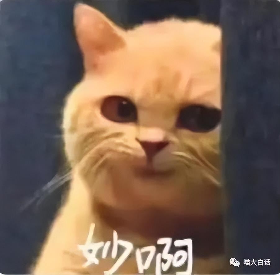 熊孩子踢人闹车厢 \