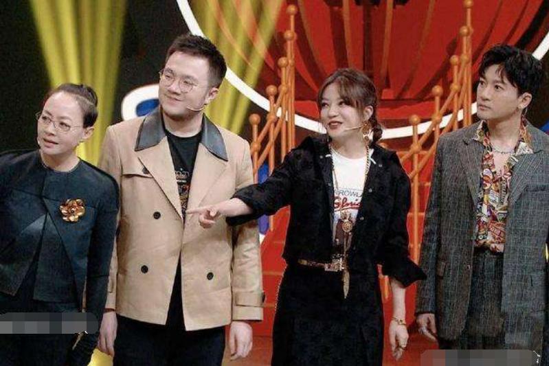 苏有朋道歉苏有朋道歉，真诚反思与公众形象的重建之路